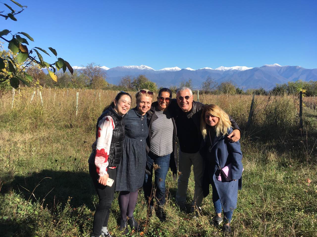 JAMS INTERNATIONAL SENIOR FELLOWS in GEORIA